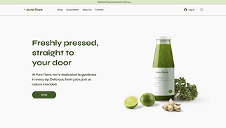 Nettsidemaler innen eCommerce - Juicebutikk