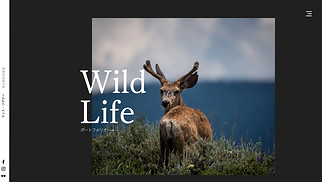 風景写真 サイトテンプレート - 野生生物写真家