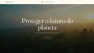 Templates de Todas - Organização Sem Fins Lucrativos (Terroso)