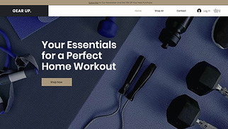 Online Store website templates - Sporting Goods Store 