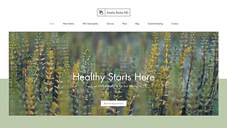 स्वास्थ्य website templates - वैकल्पिक चिकित्सक