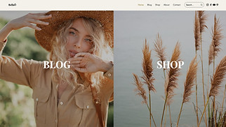 फैशन और स्टाइल website templates - फैशन ब्लॉग