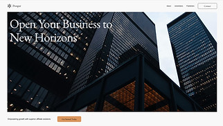 Business website templates - Affiliate Marketing Portfolio (Professional)