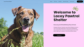 Pets & Animals website templates - Animal Shelter (Playful)