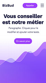 Templates de site web pour Entreprises de services - Société de business consulting