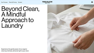 Gewerbe Website-Vorlagen - Laundry (Organic)