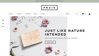  website templates - Wellness Store