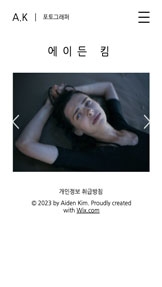 사진 카테고리 템플릿 – 전문 사진작가의 포트폴리오