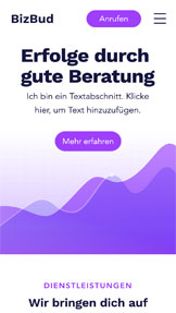 Alle website templates – Unternehmensberatung