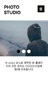 사진 카테고리 템플릿 – 전문 사진작가의 포트폴리오