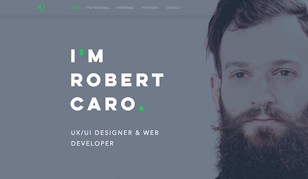 Personal Website Templates Portfolio Amp Cv Wix Com