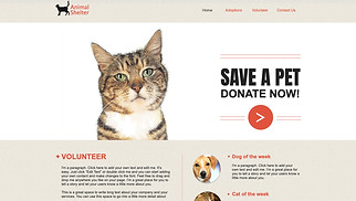 Non-Profit website templates - Animal Shelter