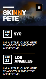 Mẫu trang web DJ và Giám đốc sản xuất – DJ