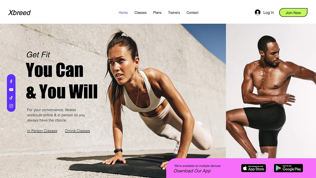Online Fitness Program