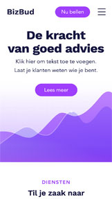 Bedrijven website templates - Zakelijk adviesbureau