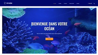Templates de sites web eCommerce - Boutique de matériel de pêche
