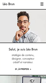 Templates de site web pour Portfolio et CV - CV original