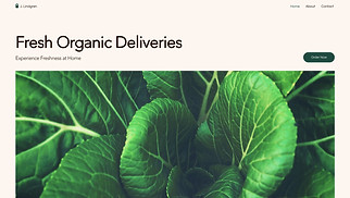 Food & Drinks website templates - Organic Vegetable Delivery Service (Earthy)