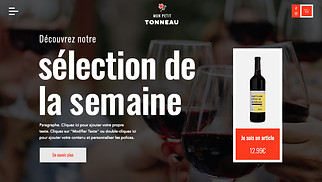 Templates de sites web eCommerce - Boutique de vin