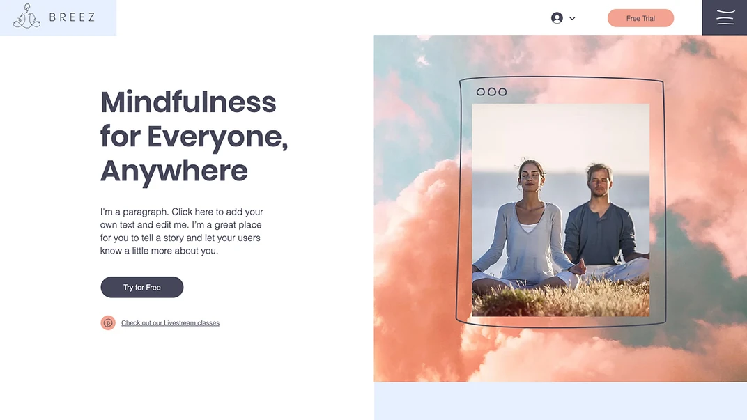 Online Meditation Classes