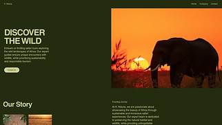 Business website templates - Safari Tours (Dark)