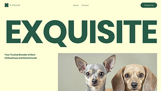  website templates - Dog Breeder (Bright)