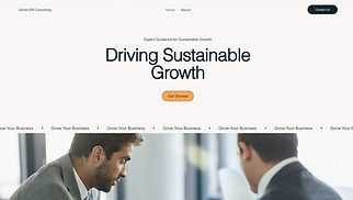 Business website templates - Business Consultant (Clean)