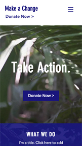 Mẫu trang web Cộng đồng – Tổ chức phi chính phủ về môi trường