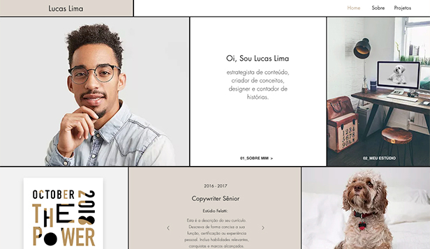 Templates de Currículo - Currículo de Contador de Histórias