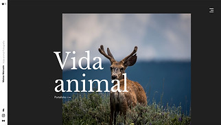 Fotografía plantillas web – Fotógrafo(a) de vida silvestre