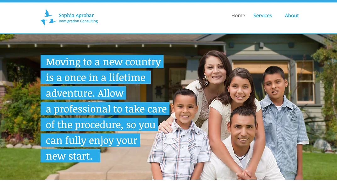 Immigration Consultant
