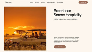 Business website templates - Safari Tours (Brown)