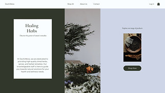 Wellness website templates - Herb Shop (Organic)