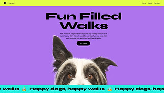 Pets & Animals website templates - Dog Walker (Energetic)