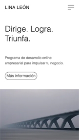 Negocios plantillas web – Asesor(a) de negocios
