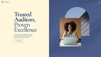 Finance website templates - Auditing Accounting Firm (Professional)