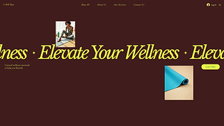 Beauty & Wellness website templates - Wellness Store (Energetic)