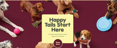 Wix eCommerce Template - a Wix online pet supply store template, the Pet Supply Store Welcoming