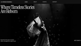 Szablony stron z dziedziny „Sztuka” - Theater Company (Professional)