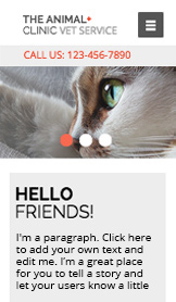 Mẫu trang web Thú cưng và Động vật – Phòng khám thú y