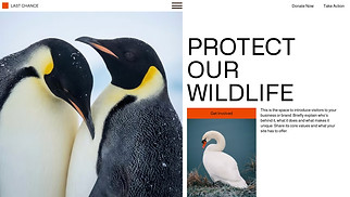 Non-Profit website templates - Environmental NGO (Bright)