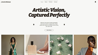 Portfolios website templates - Professional Photographer (Colorful)