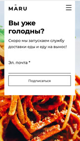 Лендинги website templates – Лендинг «Скоро появится»