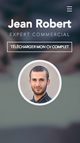 Templates de site web pour Portfolio et CV - CV professionnel