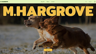 Pets & Animals website templates - Dog Treat Online Store (Playful)