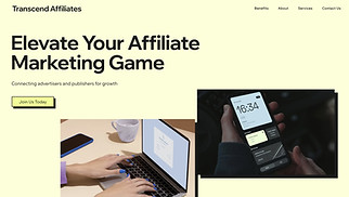 Marketing & Advertising website templates - Affiliate Marketing Portfolio (Vibrant)