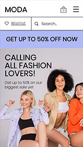 Mẫu trang web accessible – Cửa hàng quần áo