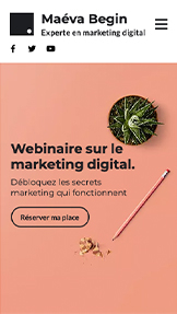 Templates de site web pour Entreprises de services - Page d'atterrissage Webinaire