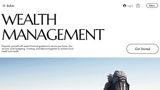  website templates - Financial Coach (Sophisticated)