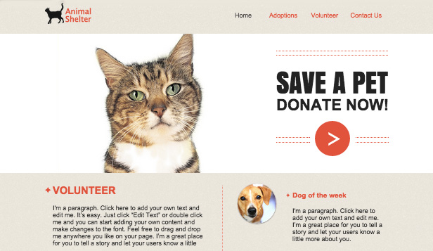 Pets & Animals Website Templates | Business 